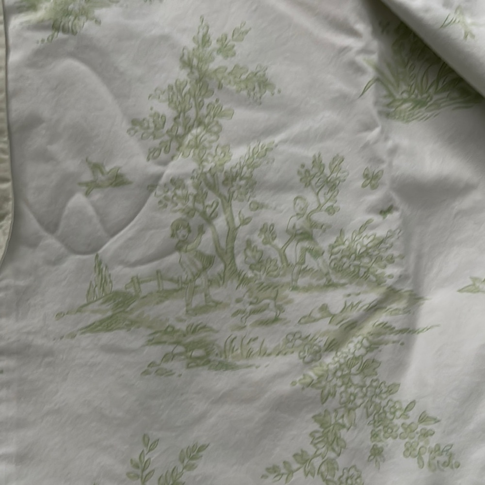 Pottery Barn Kids 2-Sided Lewis Isabelle Green/White Toile Full Size Duvet